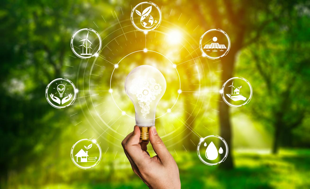 自然の森が背景。光る電球の周りに大きな白い丸があり、地球や風力発電、水滴、太陽光などのアイコンが描かれている画像