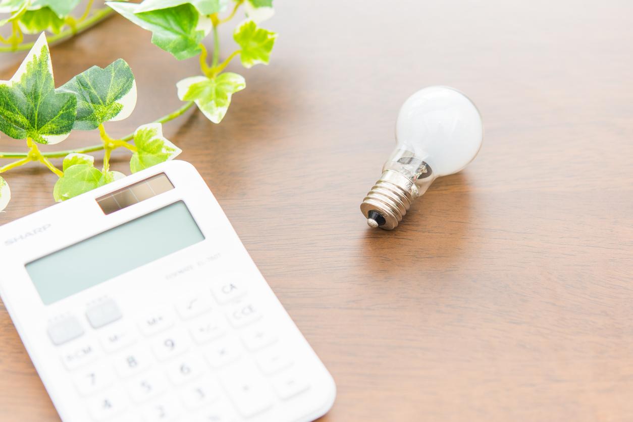 木製のテーブルに、白い計算機、小さな電球、緑の植物が配置されている画像
